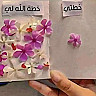 alia almuziny